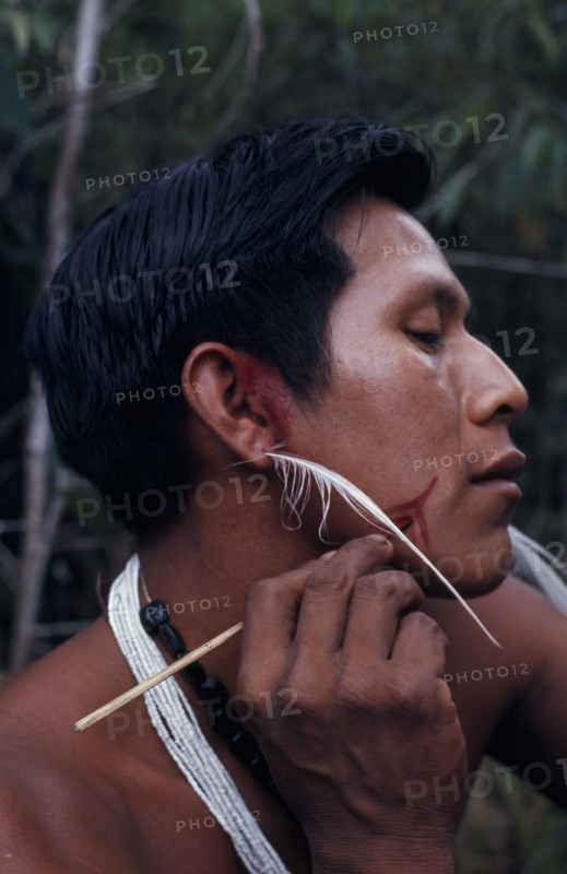 COLOMBIA, North West Amazon, Tukano Indigenous People, Barasana man  Bosco headman of maloca communal home   applying red Achiote facial paint with ear pierced with white royal crane feather and wearing traded white glass bead necklace plus strings of black fruit seeds. Tukano sedentary Indian tribe North Western Amazonia body decoration American Colombian Columbia Hispanic Indegent Latin America Latino Male Men Guy South America Tukano