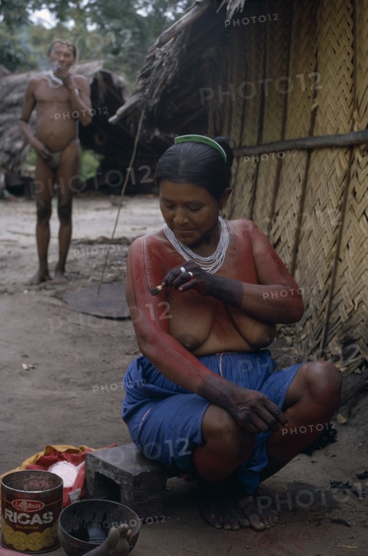 COLOMBIA, North West Amazon, Tukano Indigenous People, Barasana woman Paulina  applying red Achiote fruit body paint to arms and upper body in preparation for manioc festival.  Hands already coloured dark purple to wrists with we dye from boiled leaves.  Tukano sedentary Indian tribe North Western Amazonia body decoration American Colombian Columbia Female Women Girl Lady Hispanic Indegent Latin America Latino South America Tukano
