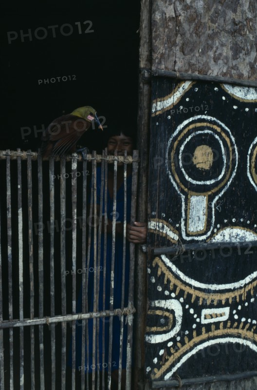 COLOMBIA, North West Amazon, Tukano Indigenous People, Detail of Makuna communal tribal home or maloca with white yellow clay and charcoal painted design on exterior facade.  Child looking out from interior with pet bird  type of Oropendola sitting on doorway beside her.   Tukano  Makuna Indian North Western Amazonia maloca American Children Colombian Columbia Hispanic Indegent Kids Latin America Latino South America Tukano