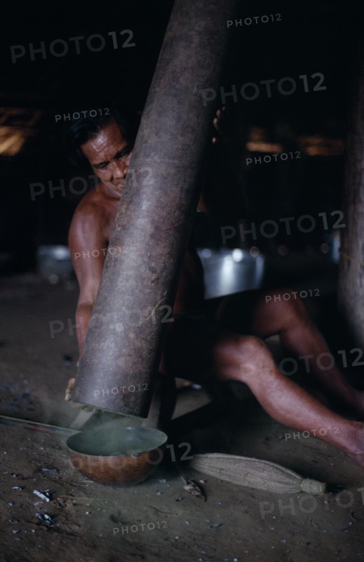 COLOMBIA, North West Amazon, Tukano Indigenous People, Makuna man emptying pounded powdered coca from Yarumo hollow tube into gourd Tukano  Makuna Indian North Western Amazonia American Colombian Columbia  Indegent Latin America Latino Male Men Guy South America Tukano