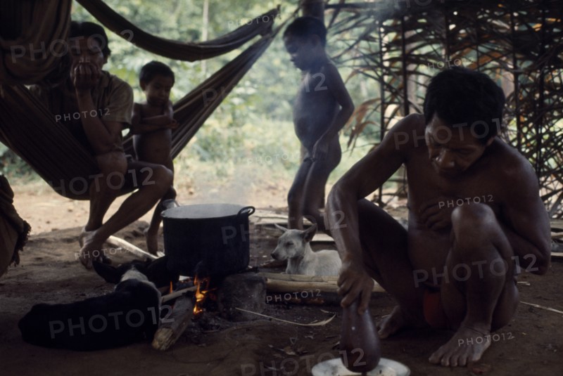 COLOMBIA, North West Amazon, Vaupes, Maku Indian men and children inside palm-thatched shelter/home with hunting dogs lying beside open fire and cooking pot. indigenous tribe indian nomadic American Colombian Columbia Hispanic Indegent Kids Latin America Latino Male Man Guy South America Vaupes Male Men Guy Vaupes
