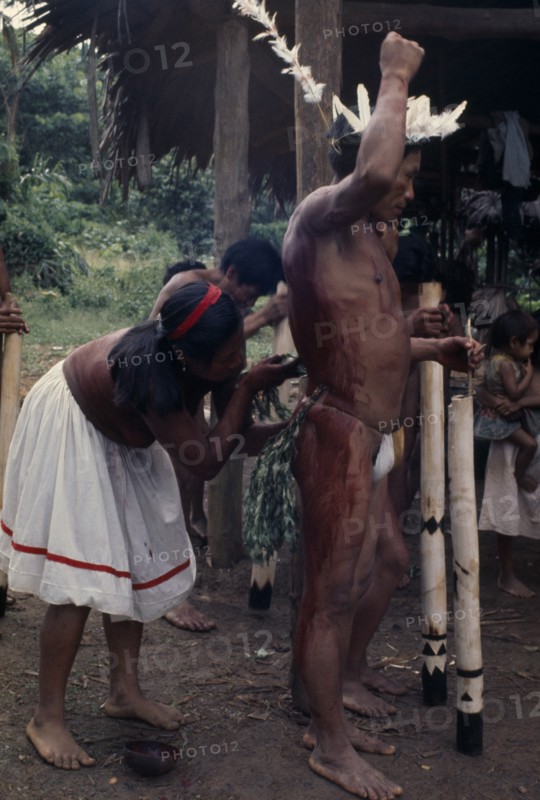 COLOMBIA, North WestAmazon, Vaupes, Maku woman painting the body of man wearing feather crown with red karajuru/ochote plant dye. indigenous tribe indian nomadic American Colombian Columbia Female Women Girl Lady Hispanic Indegent Latin America Latino Male Men Guy South America Vaupes Female Woman Girl Lady Male Man Guy Vaupes