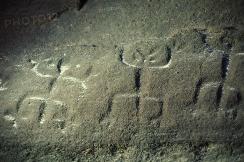 COLOMBIA, North West Amazon, Tukano Indigenous People, Barasana.  Detail of rock engravings depicting ancient dancing animal spirits in old red sandstone strata at edge of rio Piraparana. Tukano sedentary tribe North Western Amazonia American Colombian Columbia Hispanic History Indegent Latin America Latino South America Tukano