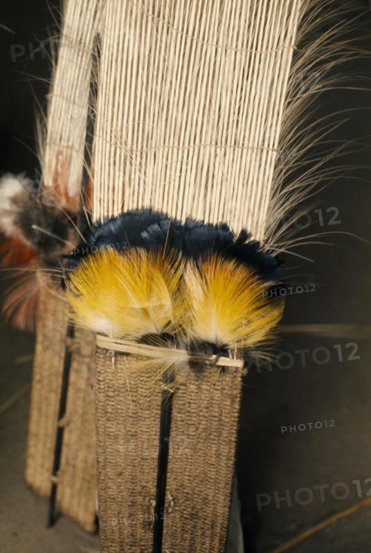 COLOMBIA, North West Amazon, Tukano Indigenous People, "Barasana ceremonial royal crane tail feathers with macaw & toucan small feathers, all bound together with cumare fibre - the central part of male feather crowns, placed on maloca floor ready to be worn during dance "