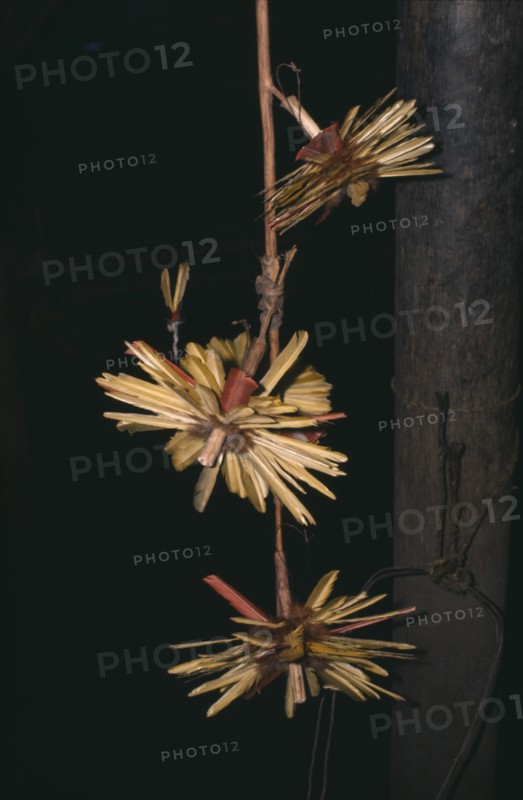 COLOMBIA, North West Amazon, Tukano Indigenous People, "Barasana ceremonial macaw and toucan feather crowns hang from central maloca house post, ready to be worn at dance"