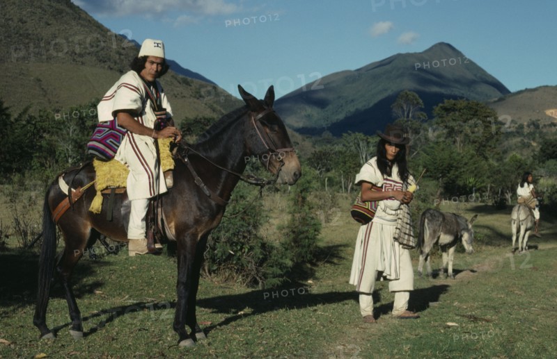 COLOMBIA, Sierra Nevada de Santa Marta, Ika, Ika leader Vicente Villafana on mule outside the Ika administrative centre of Nabusimake  another man at his side  both men in traditional dress of woven wool&cotton mantas cloaks  mochilas shoulder bags  Vicente wears woven fique cactus fibre helmet; man on donkey ahead. Arhuaco Aruaco indigenous tribe American Colombian Colombia Hispanic Indegent Latin America Latino Male Men Guy Scenic South America  Arhuaco Aruaco indigenous tribe American Colombian Columbia Hispanic Indegent Latin America Latino Male Men Guy Scenic South America Male Man Guy Center Classic Classical Fiber Historical Older