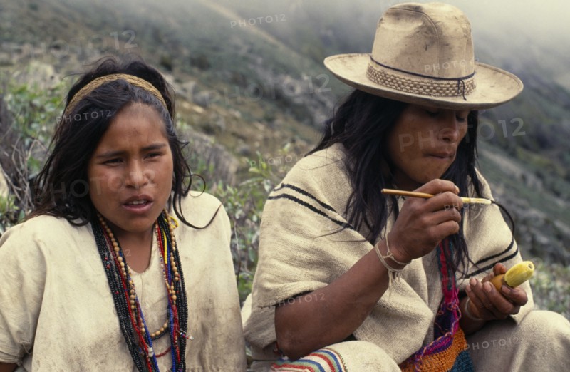 COLOMBIA, Sierra Nevada de Santa Marta, Ika, Ika shepherd sitting beside his sister in the high Sierra. He applies powdered lime from a small poporo gourd to a wooden palo stick which he then inserts into a wad of coca leaves in his cheek. The lime acts as a catalyst for the cocaine alkaloid in the chewed leaves which in turn give him sustenance energy and relief from hunger and cold Arhuaco Aruaco indigenous tribe American Colombian Colombia Hispanic Indegent Latin America Latino South America  Arhuaco Aruaco indigenous tribe American Colombian Columbia Hispanic Indegent Latin America Latino South America Farming Agraian Agricultural Growing Husbandry  Land Producing Raising Immature Agriculture Young Unripe Unripened Green