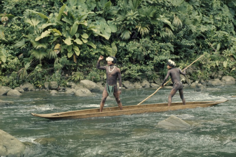 COLOMBIA, Choco, Embera Indigenous People, "Two Embera boys using pole to steer wooden dug out canoe through fast flowing rapids.  Young boys,adept at using canoes from very early age, wear crowns of wild sweet-smelling lilies to attract girls at a festival downstream. Pacific coastal region punt boat piragua rapid tribe American Colombian Columbia Hispanic Indegent Latin America Latino South America "