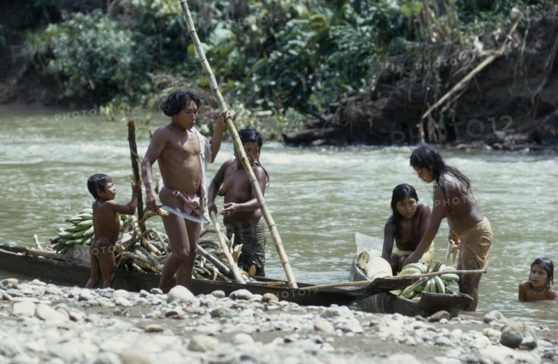 COLOMBIA, Choco, Embera Indigenous People, "Embera family arrive back at riverside home by dug-out canoe with sugar cane,maize and bananas from their forest cultivation plot  Pacific coastal region boat piragua tribe "