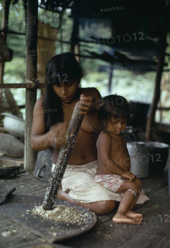 COLOMBIA, Choco, Embera Indigenous People, Embera woman grating Jagua fruit using palm-spine grater  on split bamboo floor of stilted riverside home  young daughter sitting on her lap.  The resulting pulp from the hard inedible fruit is then mixed with a little water and squeezed to extract liquid that darkens as it oxidises and is used as an indelible blue / black dye for body and facial decoration.   Pacific coastal region tribe family custom tradition body paint preparation American Children Colombian Colombia Female Women Girl Lady Hispanic Indegent Kids Latin America Latino South America  Pacific coastal region tribe family custom tradition body paint preparation American Children Colombian Columbia Female Women Girl Lady Hispanic Indegent Kids Latin America Latino South America Female Woman Girl Lady Immature Young Unripe Unripened Green