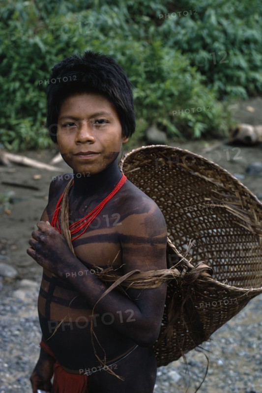 COLOMBIA, Choco, Embera Indigenous People, Portrait of young Embera with lower face and body painted with black dye extracted from the Jagua fruit wearing red glass bead necklace  returns from chagra family cultivation patch with manioc roots in woven cane basket . Pacific coastal region tribe body decoration American Colombian Colombia Hispanic Indegent Latin America Latino South America  Pacific coastal region tribe body decoration American Colombian Columbia Hispanic Indegent Latin America Latino South America Immature One individual Solo Lone Solitary 1 Single unitary Young Unripe Unripened Green