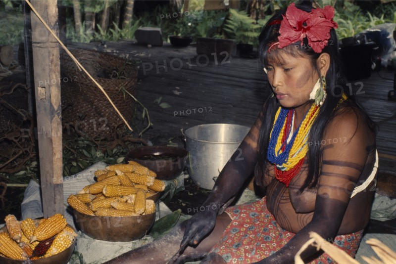 COLOMBIA, Choco, Embera Indigenous People, Young Embera woman  body painted with black dye extracted from Jagua fruit wearing multiple bead necklaces  trade-cloth skirt and hair band adorned with hybiscus flowers  prepares corn cobs to make chicha maize beer for a family curing ceremony. Pacific coastal region tribe body decoration American Colombian Colombia Female Women Girl Lady Hispanic Indegent Latin America Latino South America  Pacific coastal region tribe body decoration American Colombian Columbia Female Women Girl Lady Hispanic Indegent Latin America Latino South America Female Woman Girl Lady Immature One individual Solo Lone Solitary 1 Single unitary Young Unripe Unripened Green