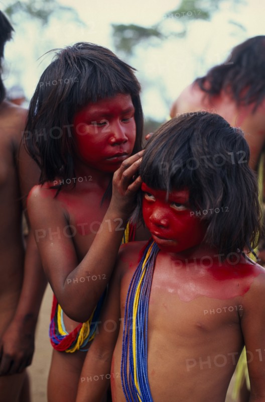 BRAZIL, Mato Grosso, Indigenous Park of the Xingu, Young Panara girls applying red karajuru face and body paint in preparation for dance.  Both wearing multiple strands of blue red and yellow beads across upper body. Formally known as Kreen-Akrore  Krenhakarore  Krenakore  Krenakarore  Amazon American Brasil Brazilian Indegent Kids Kreen Akore Latin America Latino South America Immature