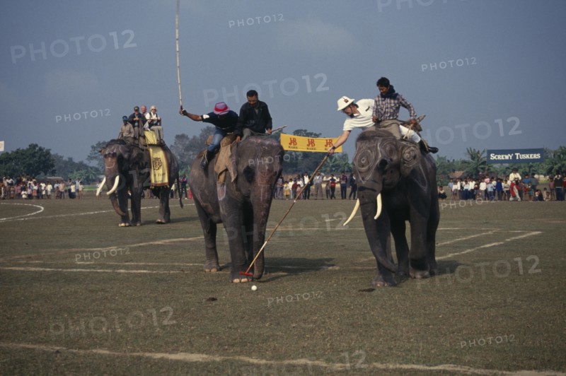 NEPAL, Chitwan National Park, A match taking place at the World Elephant Polo Championships