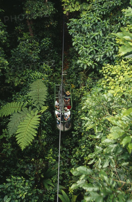 COSTA RICA, Landscape, Rainforest, Tourists in aerial tram through rainforest near Braulio Carillo National Park.
