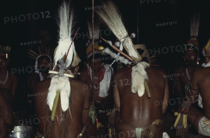 COLOMBIA, North West Amazon, Tukano Indigenous People, Rear view of two Barasana shamans wearing royal crane macaw and toucan head-dresses with monkey fur belts chanting to chief shaman Cristo in background  between traditional dances. Tucano sedentary Indian tribe North Western Amazonia American Classic Classical Colombian Columbia Hispanic Historical Indegent Latin America Latino Older Religion South America Tukano History Religious