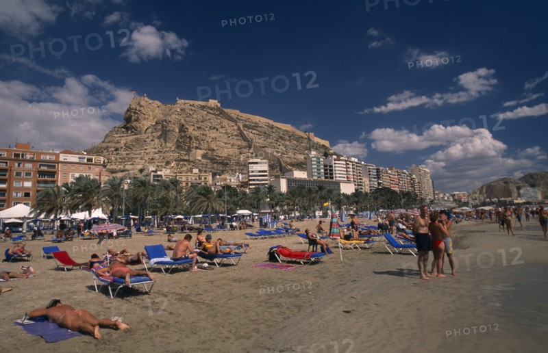 SPAIN, Pais Valenciano, Costa Blanca, "Alicante.  Sunbathers on sandy beach lined with palm trees and apartment buildings overlooked by castle on top of steep, rocky hillside behind."