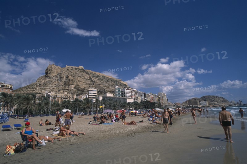 SPAIN, Pais Valenciano, Costa Blanca, "Alicante.  Sunbathers on sandy beach lined with palm trees and apartment buildings overlooked by castle on top of steep, rocky hillside behind."