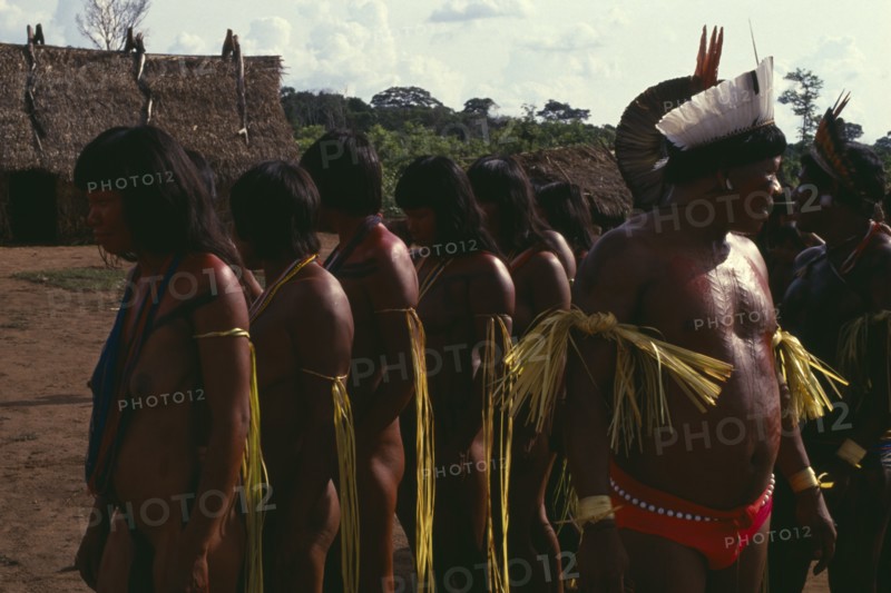BRAZIL, Mato Grosso, Indigenous Park of the Xingu, Panara men wearing crowns or head-dresses of feathers beside women painted with red karajuru and wearing colourful strands of beads and with long strips of plant fibres tied around upper arms during dance. Formerly known as Kreen-Akrore  Krenhakarore  Krenakore  Krenakarore  Amazon American Brasil Brazilian Colorful Female Woman Girl Lady Indegent Kreen Akore Latin America Latino Male Man Guy South America Female Women Girl Lady Male Men Guy
