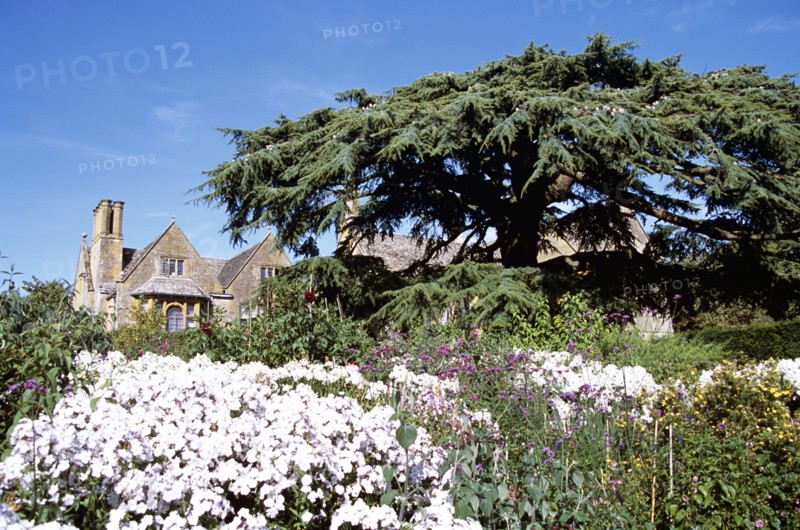 ENGLAND, Gloucestershire, Hidcote Bartrim, "Hidcote Manor Garden, near Chipping Campden. Cedar of Lebanon tree and manor house."