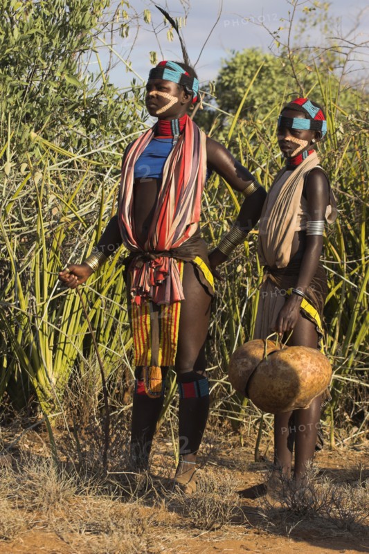 ETHIOPIA, Lower Omo Valley, Tumi, "Hamer Jumping of the Bulls initiation ceremony, Girls watching ritual dancing round cows and bulls before the initiate does the jumping"