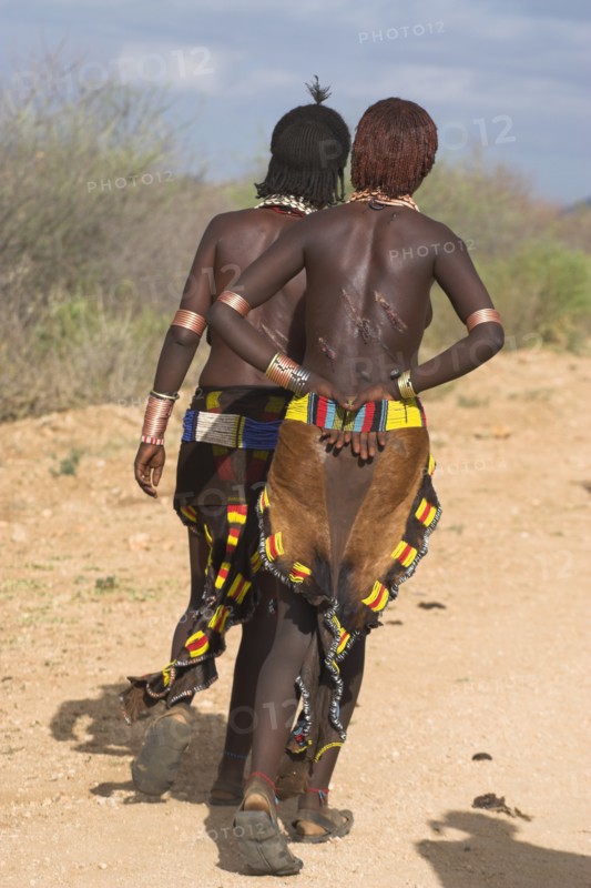 ETHIOPIA, Lower Omo Valley, Turmi, "Hamer Jumping of the Bulls initiation ceremony, Hamer woman walking to the place where the bull jumping is being held. they wear traditional goat skin dresses decorated with cowrie shells, and their back is scarred from ritual flogging"