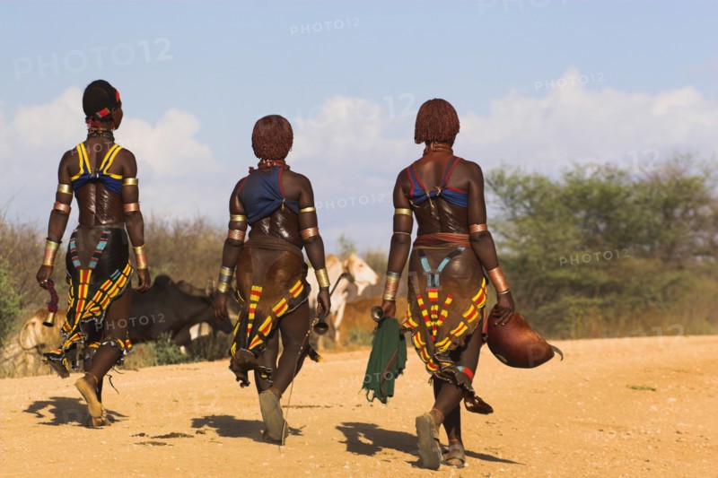 ETHIOPIA, Lower Omo Valley, Tumi, "Hama Jumping of the Bulls intiation ceremony, the initiate comtemplates the ceremony where he will be required to 'jump' over a line of bulls"