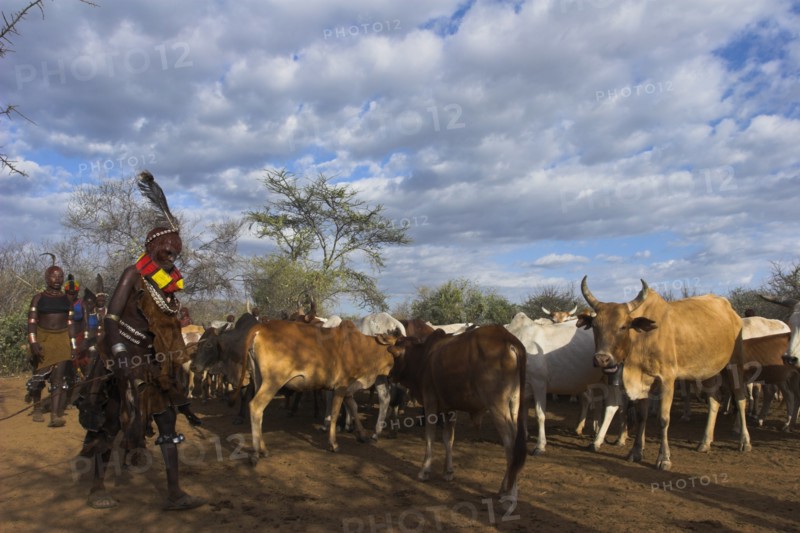 ETHIOPIA, Lower Omo Valley, Turmi, Hama Jumping of the Bulls initiation ceremony