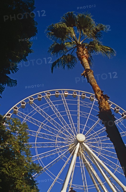 SPAIN, Andalucia, Seville, "The Wheel of Seville, Prado de San Sebastian."