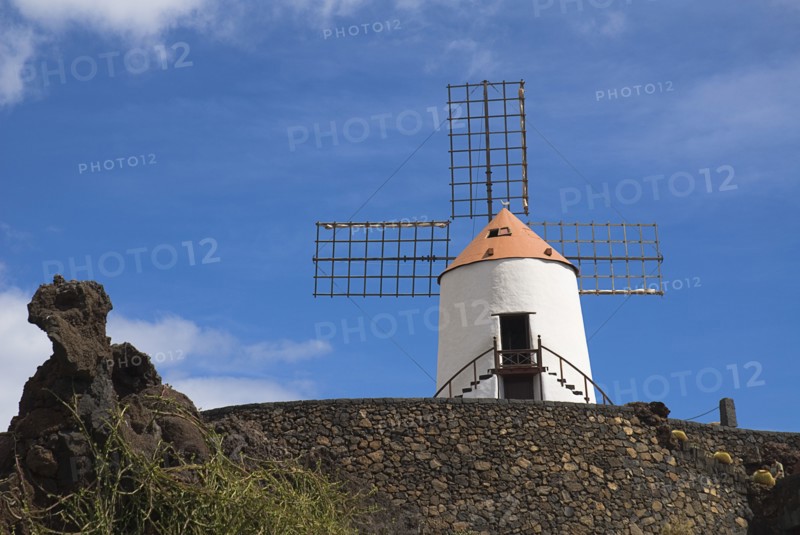SPAIN, Canary  Islands, Lanzarote, Jardin de Cactus.  Restored windmill in garden in former volcanic quarry designed by Cesar Manrique.