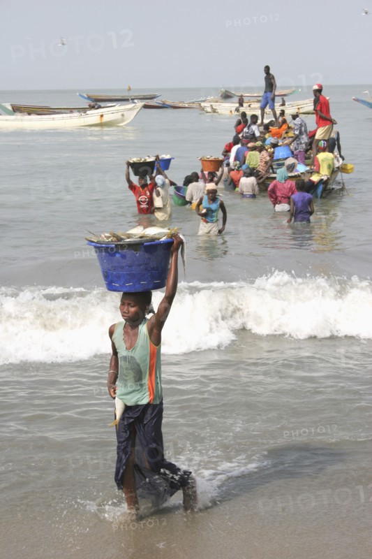 GAMBIA, Western Gambia, Tanji, Tanji coast.  Women carrying bowls full of fish on their heads through shallow water from fishing boats to beach and the fish market .  The Gambian fishing industry is the second largest in Africa.