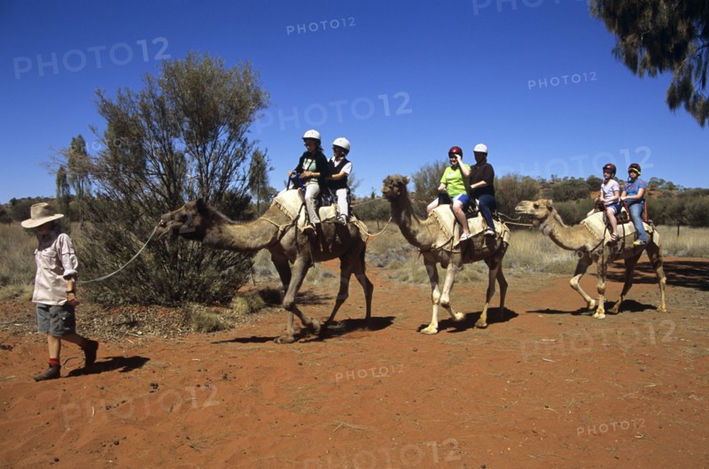 AUSTRALIA, Northern Territory, Uluru, "Kata Tjuta National Park, Camel train and riders, Mount Uluru, Ayers Rock."