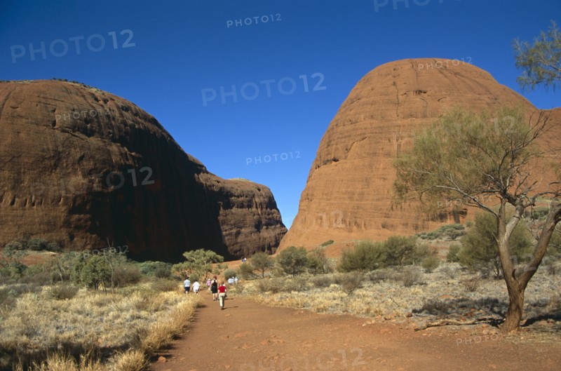 AUSTRALIA, Northern Territory, The Olgas, "Kata Tjuta National Park, Walpa Gorge."