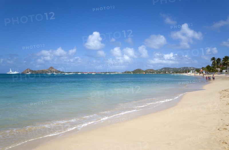 WEST INDIES, St Lucia, Gros Islet, Reduit Beach in Rodney Bay with tourists in the water and on the beach