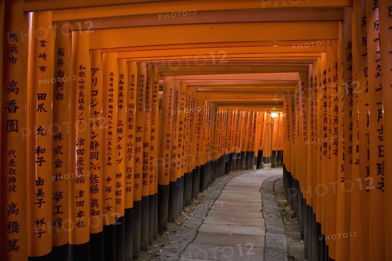 JAPAN , Honshu, Kyoto, "Fushimi-Inari Taisha, Fushimi-Ku Fukakusa Yabunouchi-cho.  Avenue formed by hundreds of torii gates at the Fushimi Shrine."