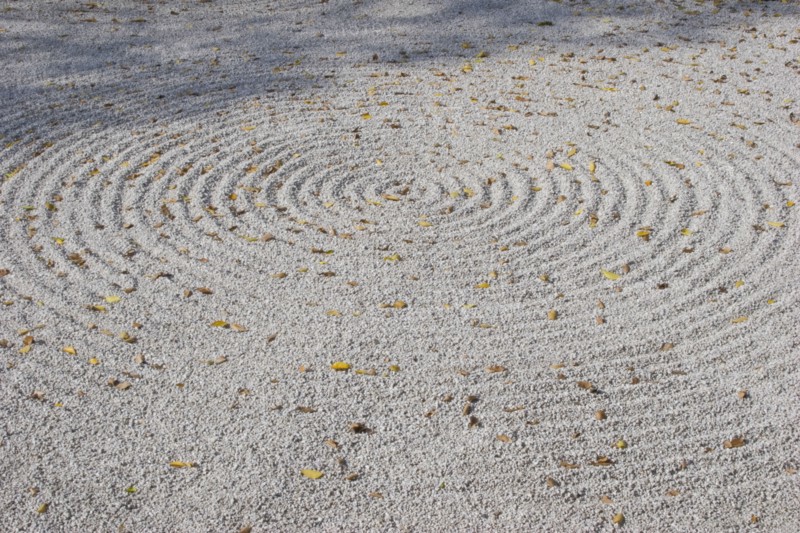 JAPAN, Honshu, Kyoto, Zen sand garden made by monks at a Zen Buddhist temple.  Circular pattern raked on surface scattered with fallen Autumn leaves.