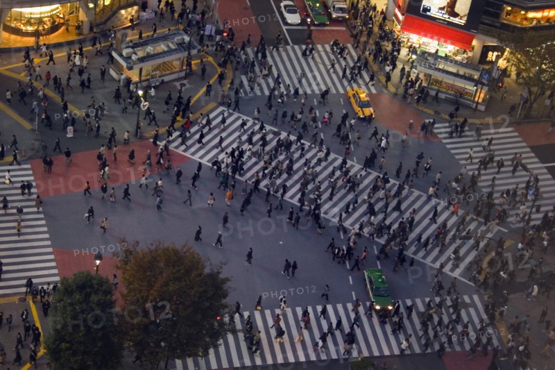 JAPAN, Honshu, Tokyo, "Shibuya District.  Meiji-dori with Dogen-Zaka junction outside Shinjuku Station.  View from above over one of the busiest junctions in the world with crowds on pedestrian crossings, waiting traffic and lights from surrounding buildings at dusk."