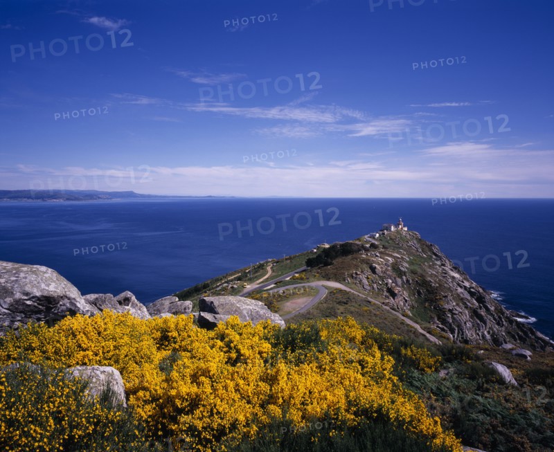 SPAIN, Galicia, Cabo Fisterra, View over rocky peninsula towards Atlantic Ocean with yellow flowering broom in foreground.