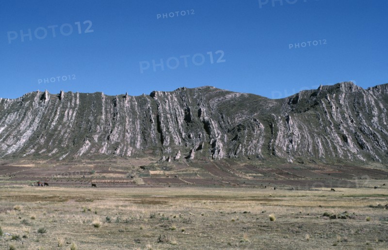 BOLIVIA, Altiplano, Vertically folded rock strata behind agricultural land with people and cattle on the ground