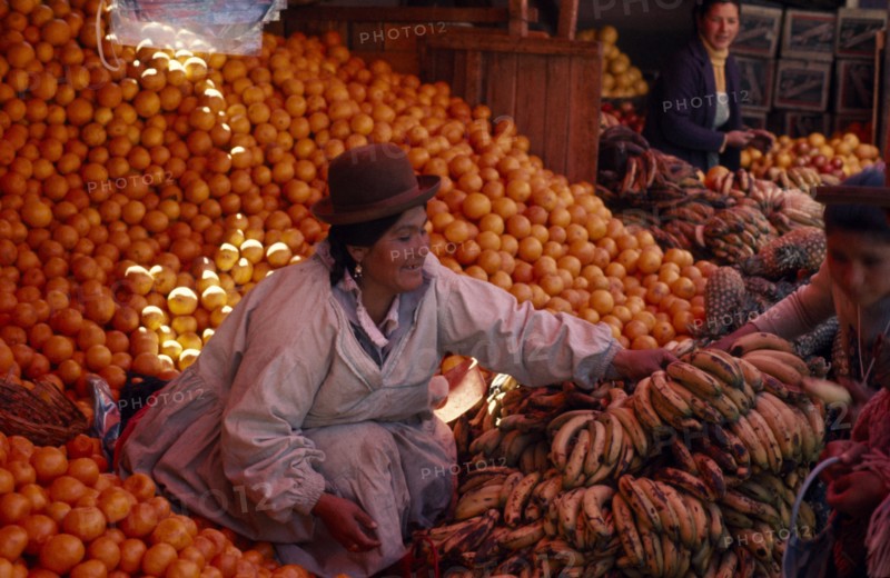 BOLIVIA, Potosi, Woman selling oranges and bananas from her market stall