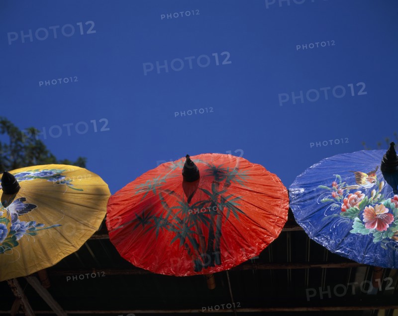 THAILAND, Chiang Mai Province, Bor Sang, "Bor Sang Umbrella and Sankampaeng Handicraft Festival.  Yellow, red and blue umbrellas painted with flowers, birds and bamboo.  For more than 100 years Bor Sang village has been associated with the production of umbrellas made from Sa paper derived from mulberry tree bark.  "