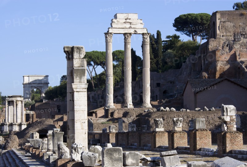ITALY, Lazio, Rome, The floor of the Forum with the Temple of Vesta the Arch of Titus and the three Corinthian columns of the Temple of Castor and Pollux in front of the Palatine hill with the Basilica of Julia named after Julius Caesar in the foreground