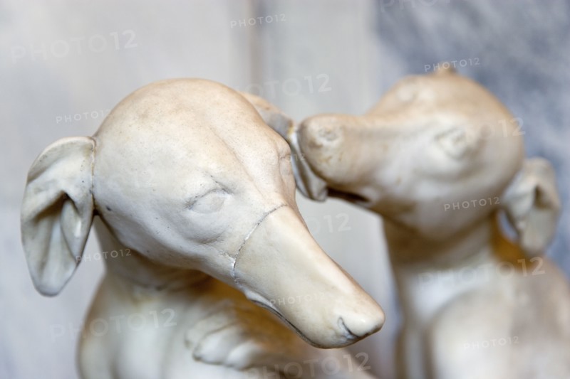 ITALY, Lazio, Rome, Vatican City Museums Detail of a marble statue of one dog licking the ear of another in the Room of Animals in the Belvedere Palace