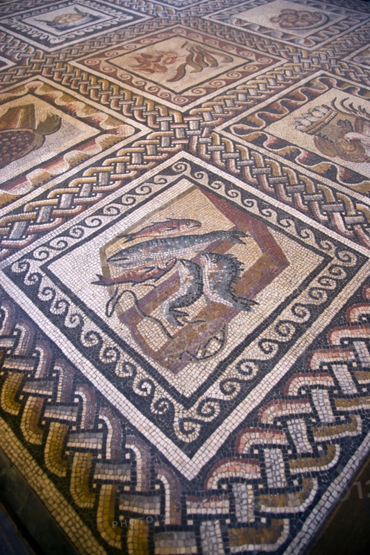 ITALY, Lazio, Rome, Vatican City Museums Detail of a Roman mosaic on the floor of the Room of Animals in the Belvedere Palace