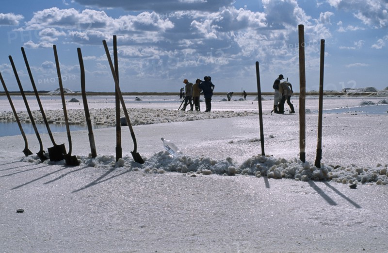 COLOMBIA, La Guajira, Manaure, Salt Mine worked by Guajiro / Wayu Indians. Long handled spades standing up in the salt in the foreground.