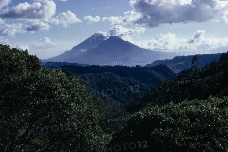 GUATEMALA, Lake Atitlan, View across dense green rainforest towards Lake Atitlan and volcanic mountains