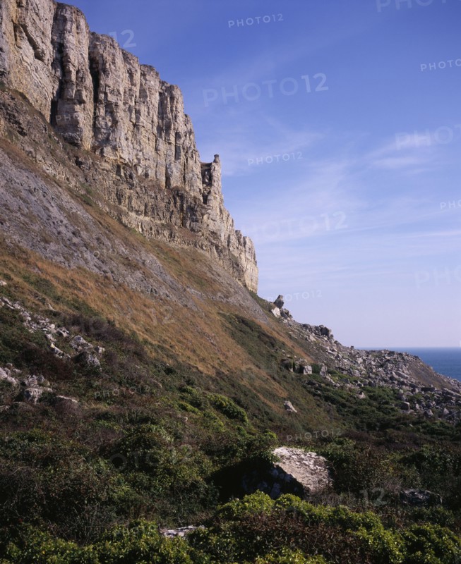 ENGLAND, Dorset, Jurassic Coastline, West facing cliffs of St Aldhelms or Albans Head             62metres (205feet)