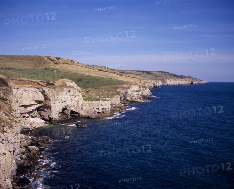ENGLAND, Dorset, Jurassic Coastline, View east towards Seacombe Quarry and distant Anvil Point Lighthouse