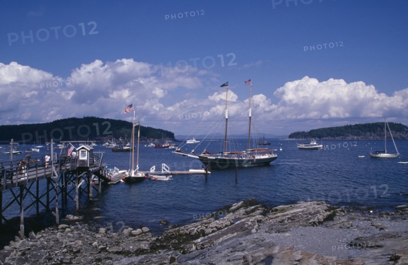 USA, Maine, Bar Harbour, "Wooden jetty with approaching yacht, various boats on water and tree covered headland beyond."