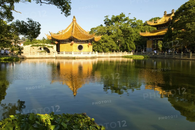 CHINA,  Zhejiang , Putuoshan, Pagoda and tank in front of the Puji Temple